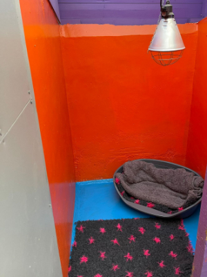 Village-pets-kennels-bedfordshire-interior-calm